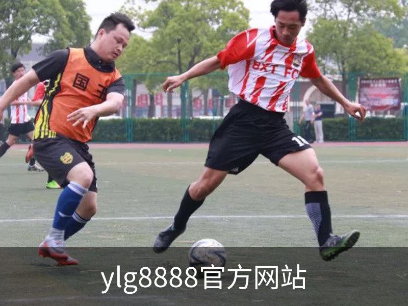 ylg8888官方网站简介